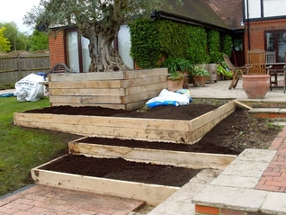 Ancient olive, oak multi-tiered beds with seating – Todd's Botanics